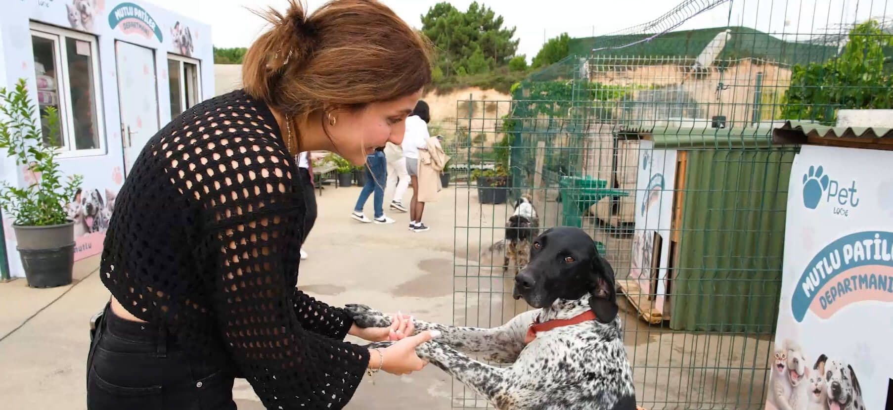 Mutlu Patiler Barınağı