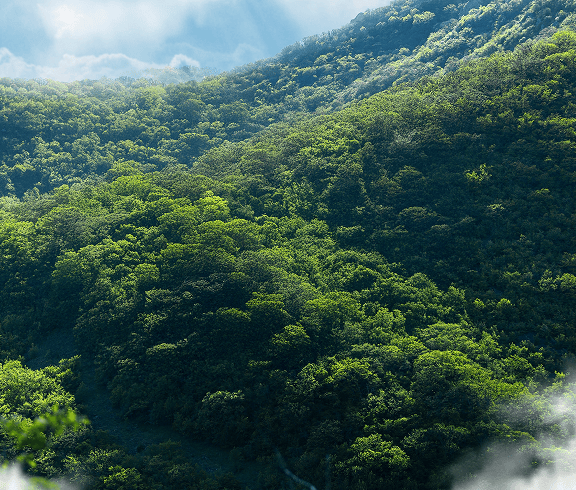 Sürdürülebilirlik